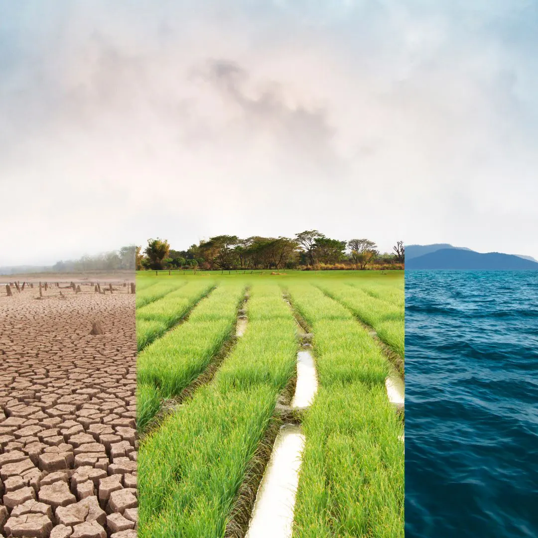 /rural-india-conference/images/themes/Demystifying_Climate_Risk.webp