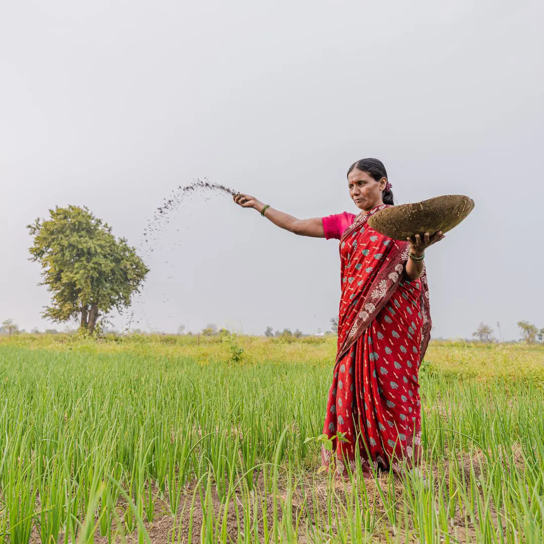 /rural-india-conference/images/themes/Jobs_in_Rural_Space_Towards_Inclusive_Productive_and_Sustainable_Agrifood_Systems.webp